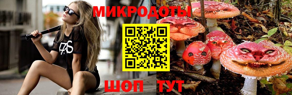 Псилоцибиновые грибы Psilocybe Трёхгорный
